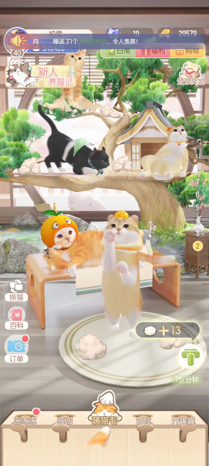 埃及猫活动入口截图