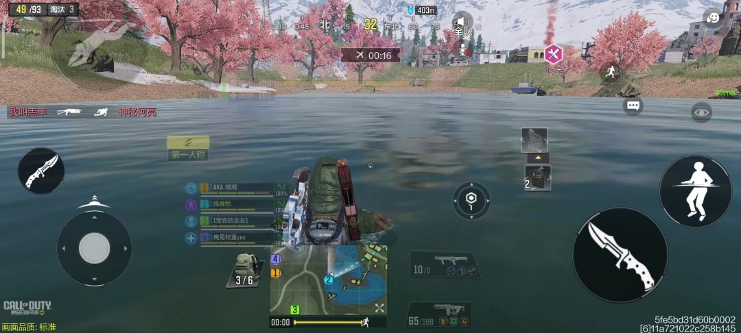 video-4005461