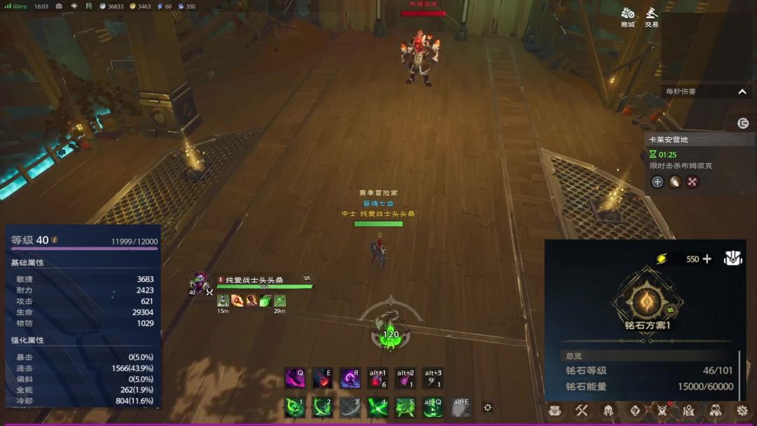 video-4005565