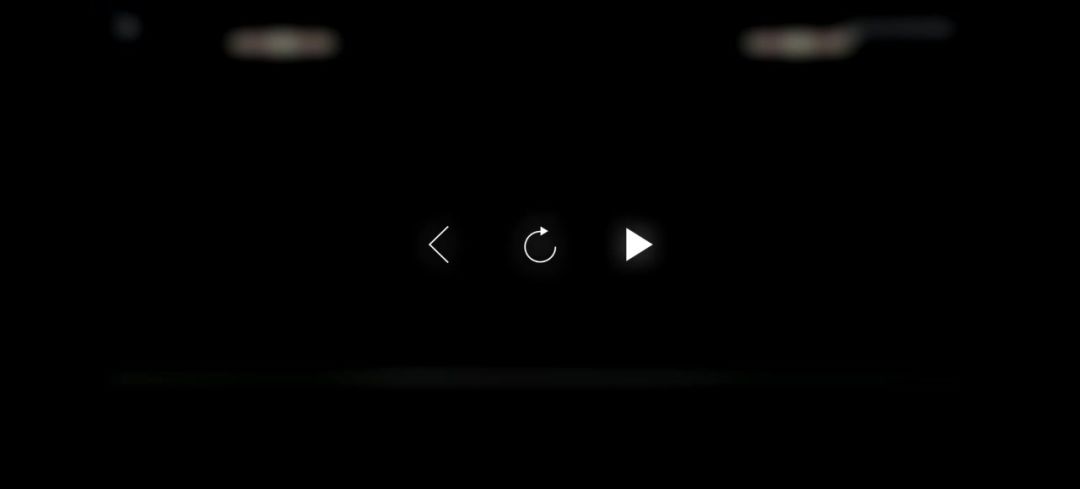 video-4005724