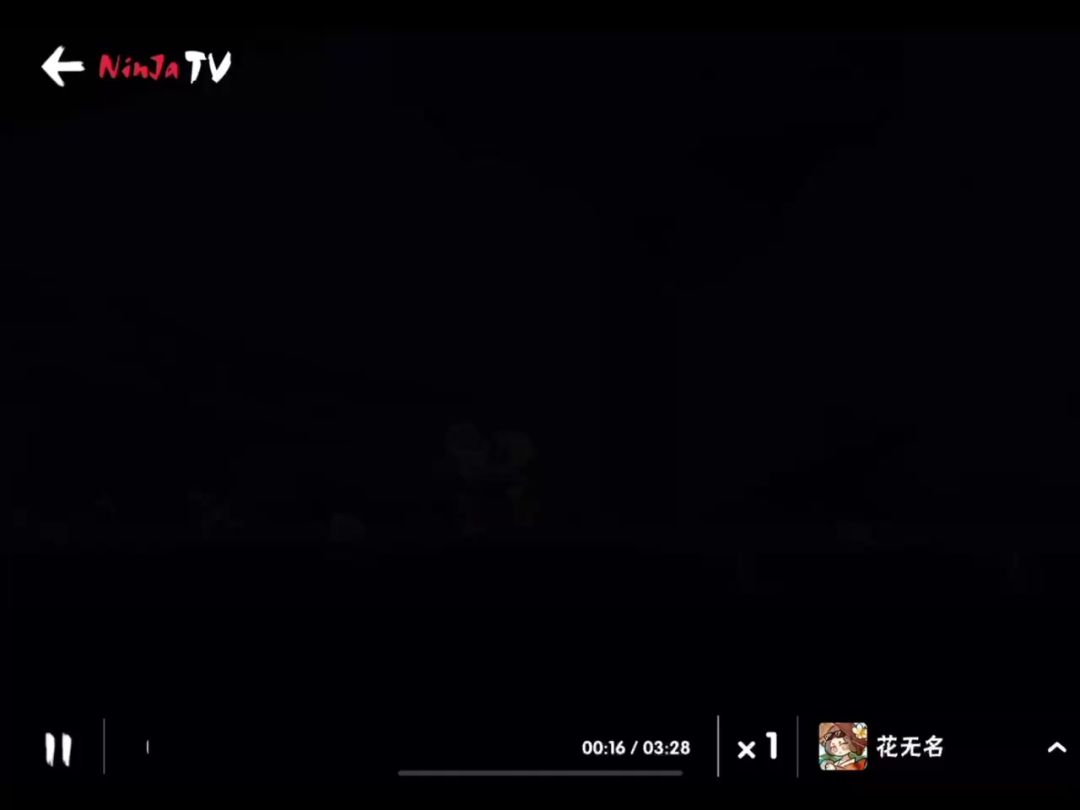 video-4007657
