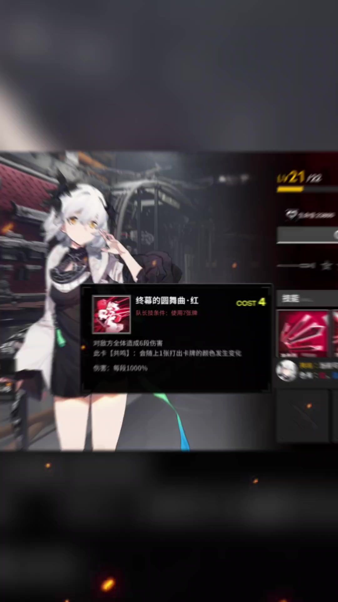 video-4009684