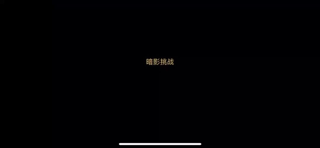 video-4011864
