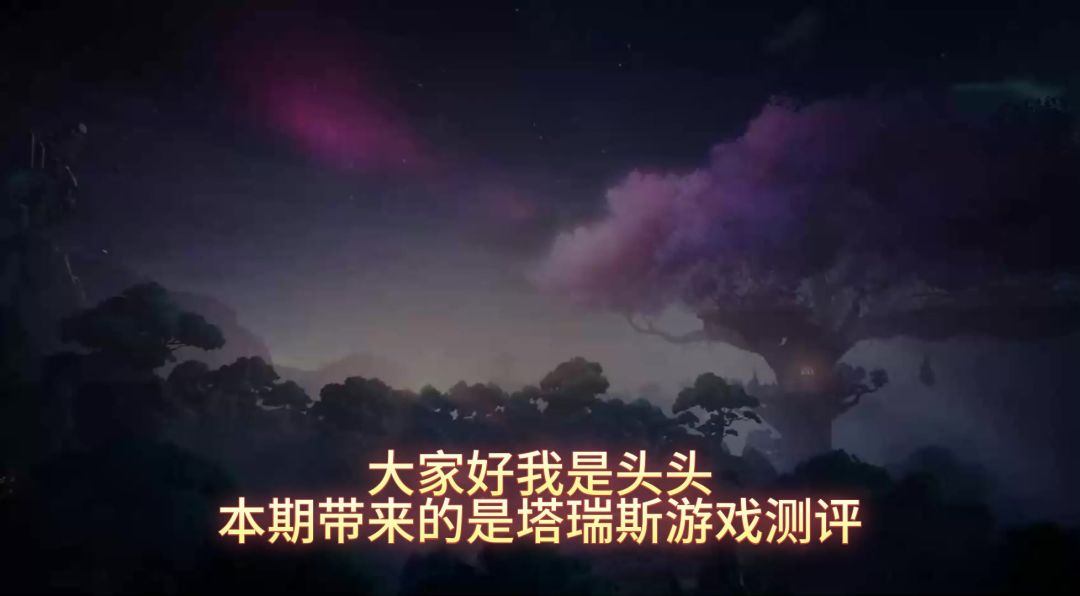 video-4014404