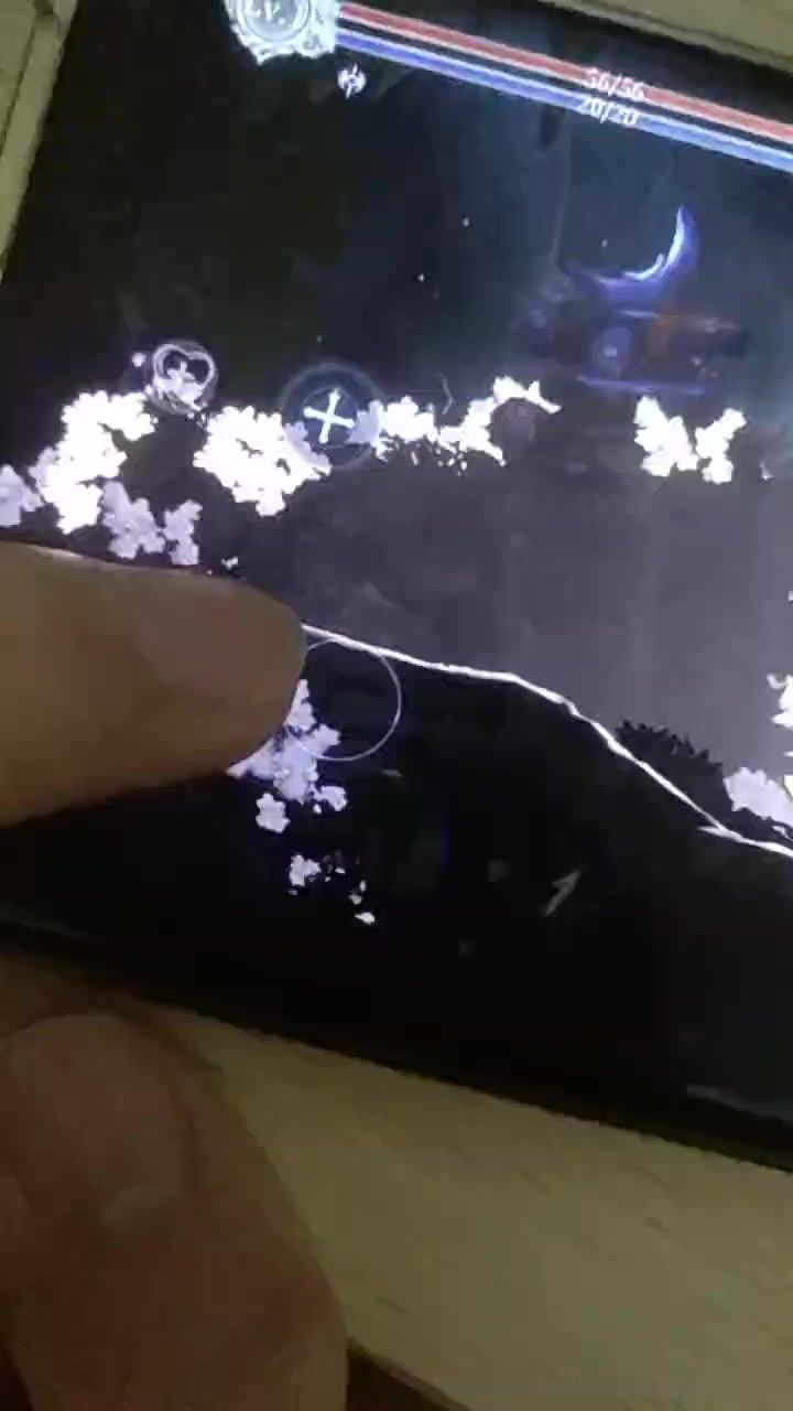 video-4018865