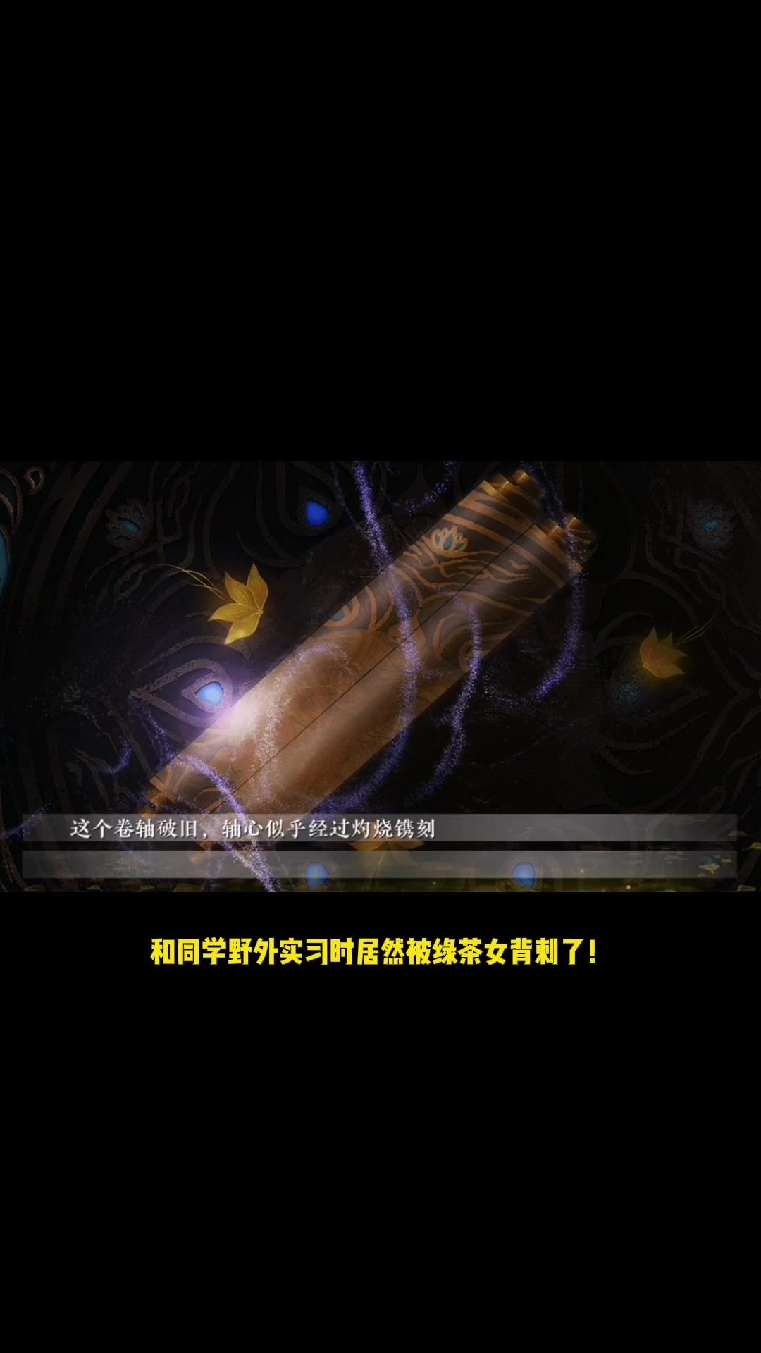video-4019143