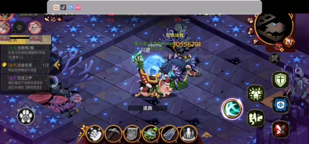 video-4019203