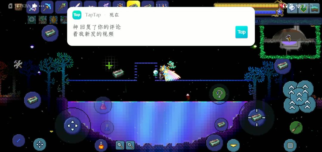 video-4024220