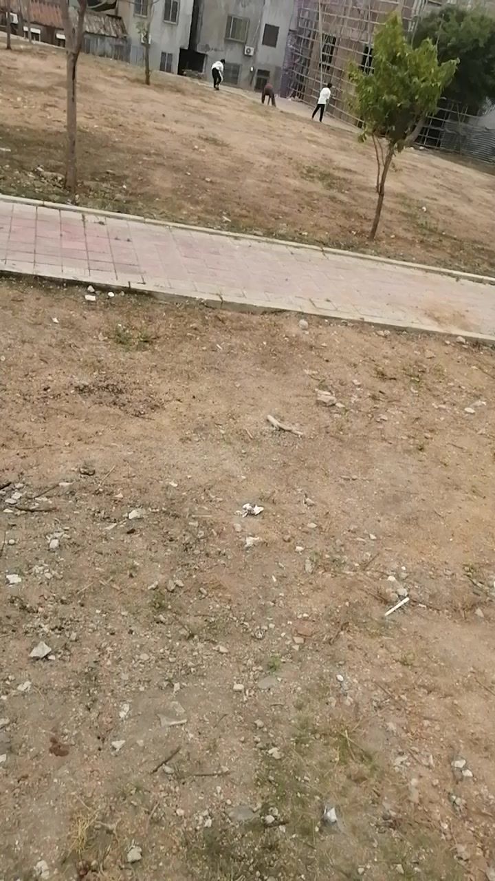 video-4024536