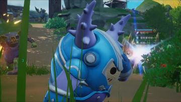 说一下前期需要注意的一些事项