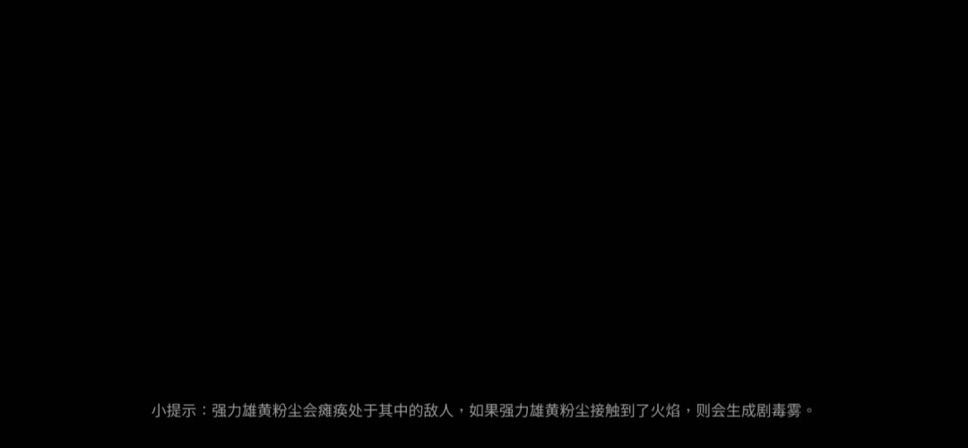 video-4029158
