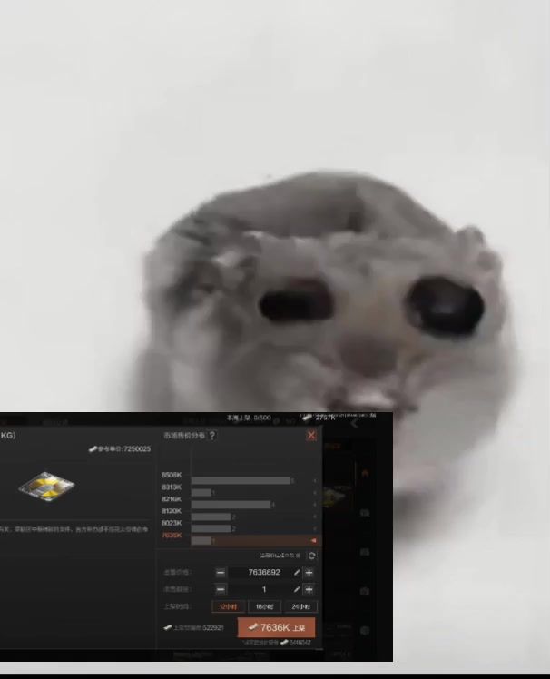 video-4029750