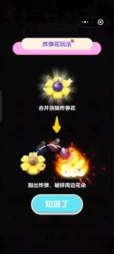 炸弹花元素设计