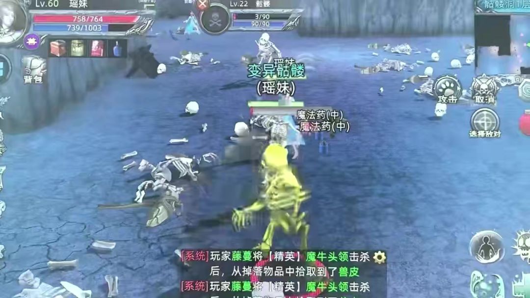 video-4032507
