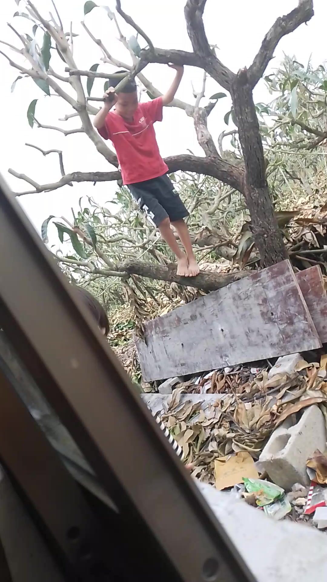 video-4036505