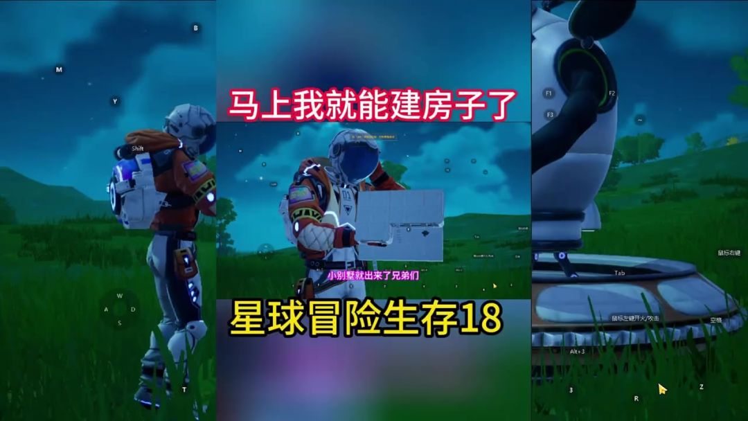video-4036880