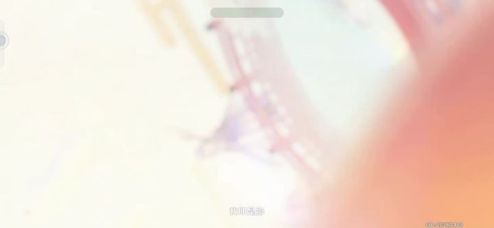 我是雷电将军的狗截图