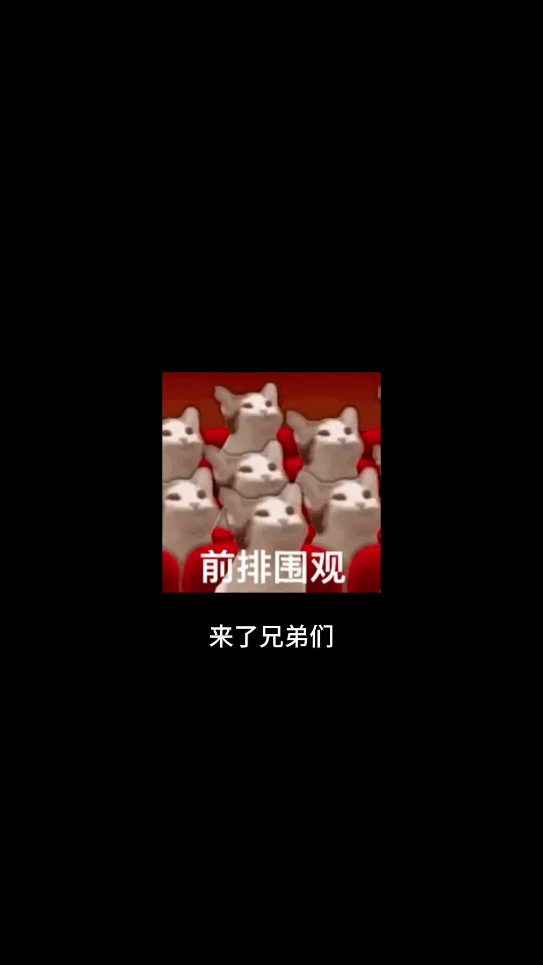 video-4038341