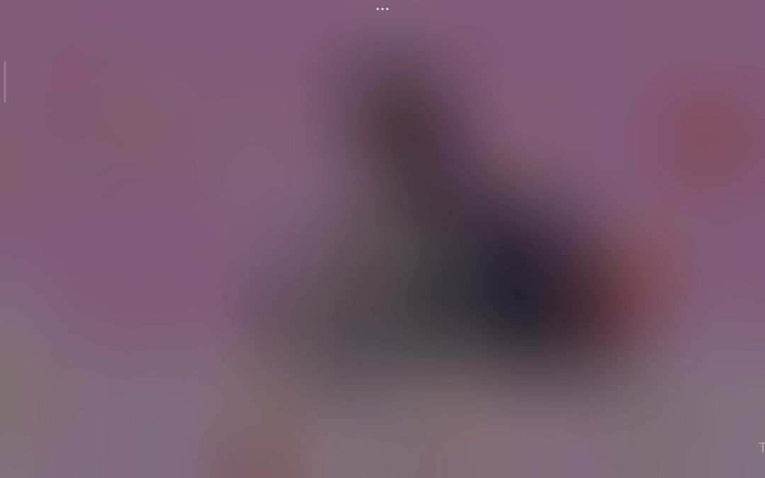 video-4040732