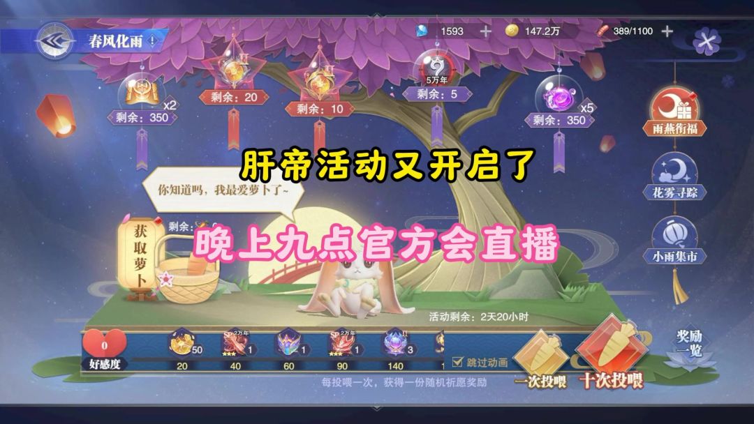 video-4041656