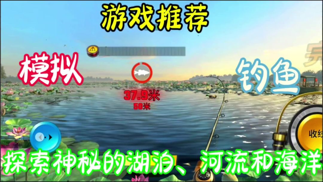 video-4043488