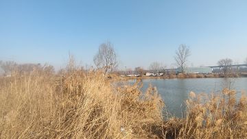 快来尝试足不出户的欢乐，钓鱼大师的魅力与乐趣~！