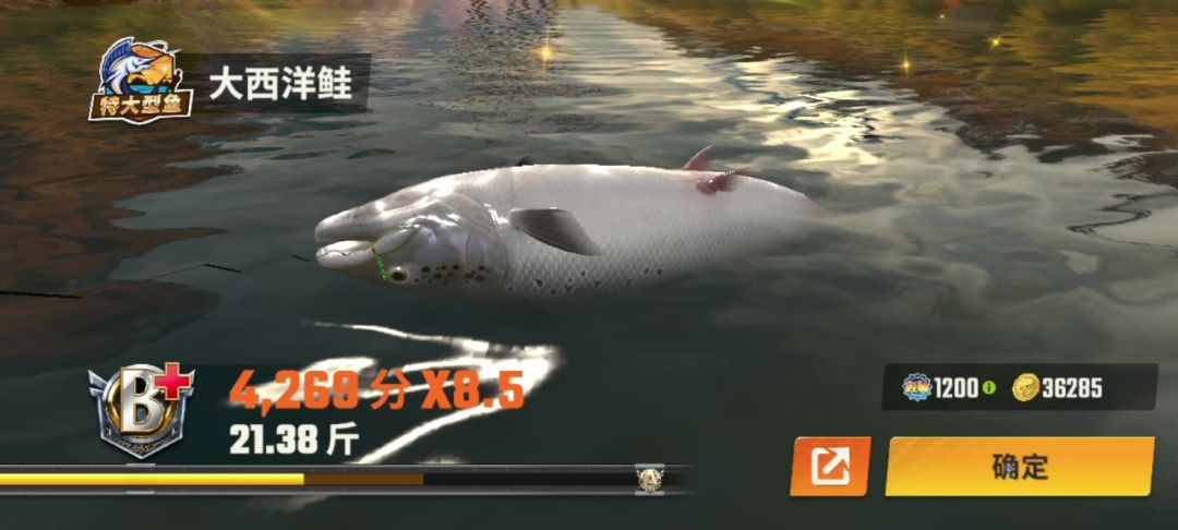 video-4053287