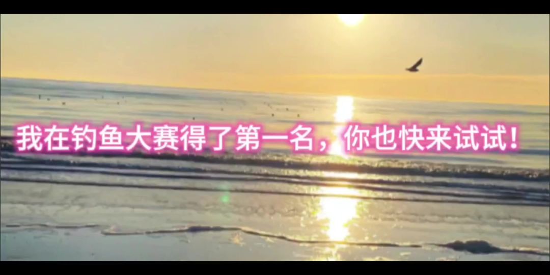 video-4055869