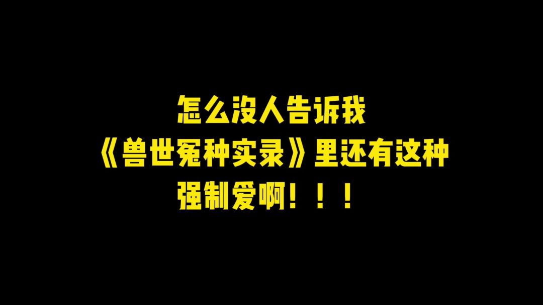 video-4058122