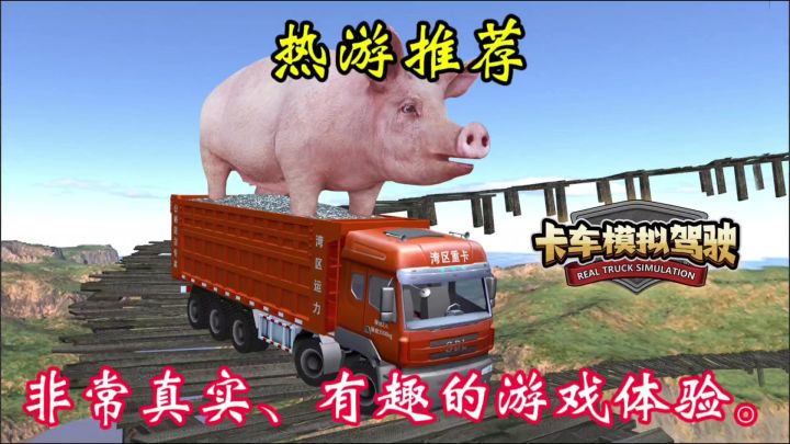 喜欢驾驶游戏或者对卡车感兴趣，那么这款游戏绝对值得一试。截图