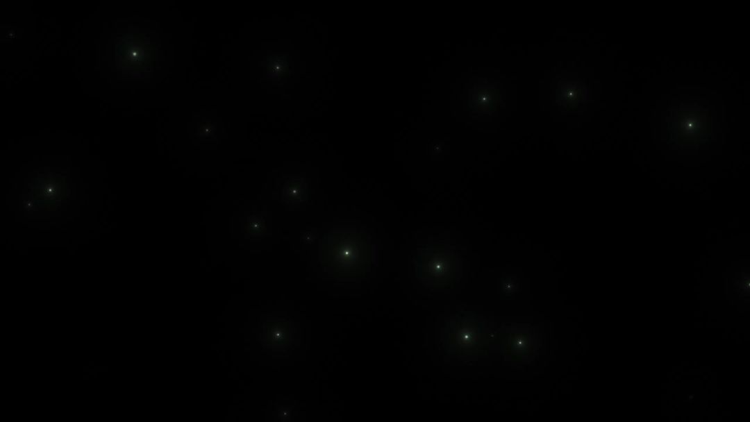 video-4063040