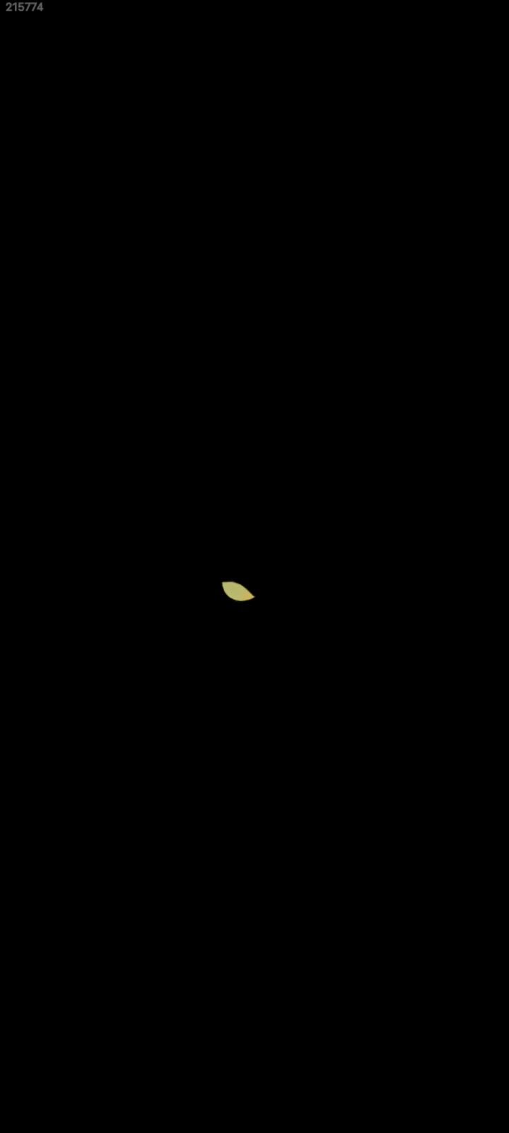 video-4064670
