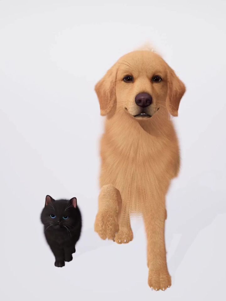 在以闪猫狗双全😆截图