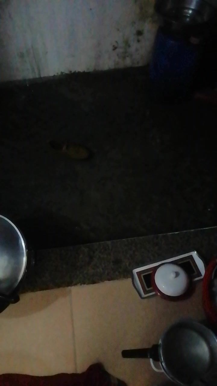 video-4068219