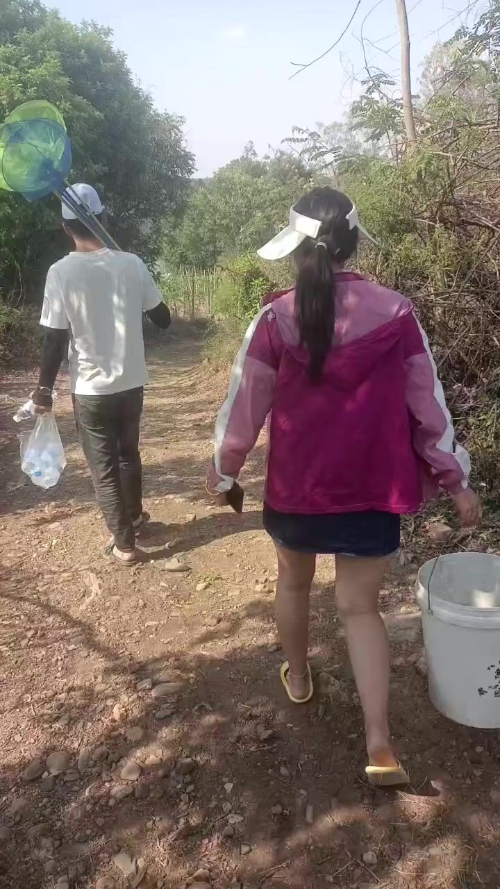 video-4070248