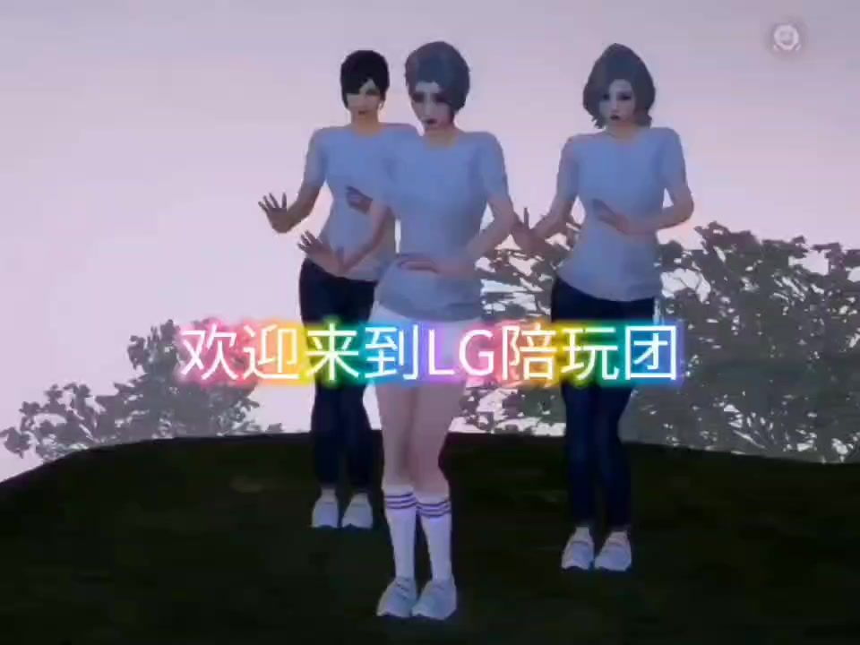 video-4070716
