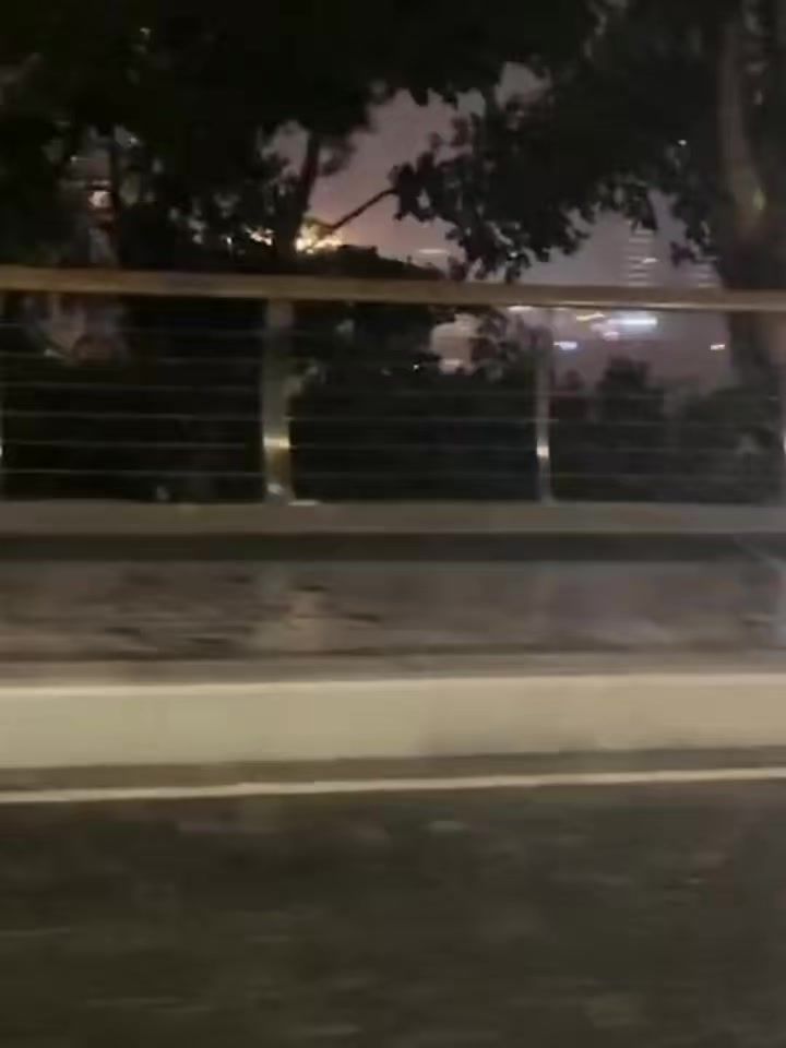 光是抓不住的,雾也总会散,人总要和自己抓不到的东西,说再见截图