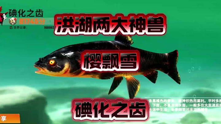 洪湖俩大神兽:樱飘雪,碘化之齿怎么钓截图
