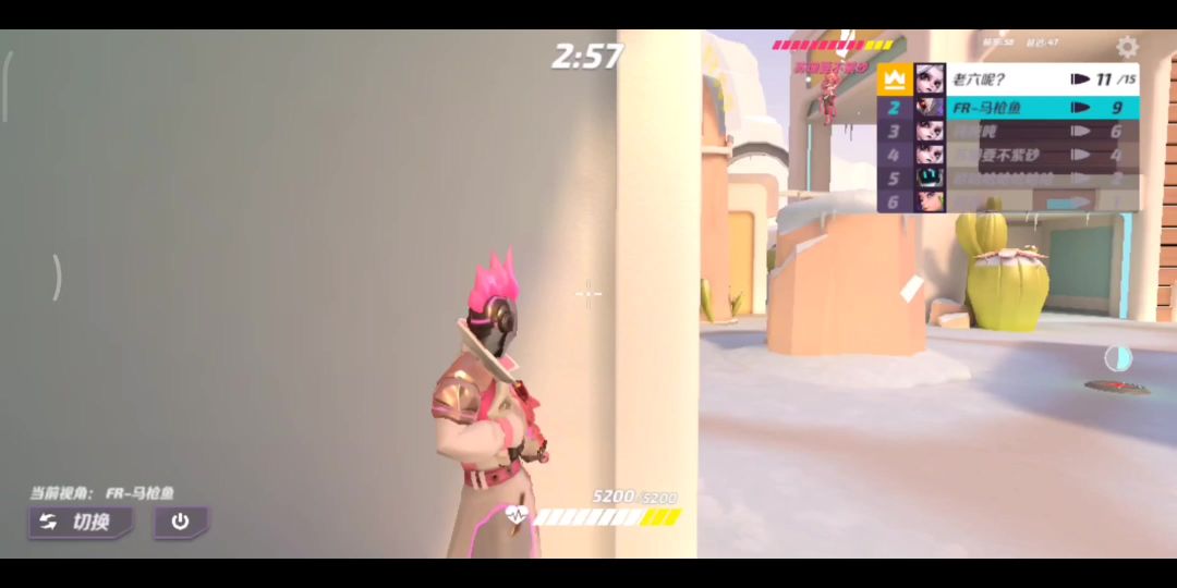 video-4073416