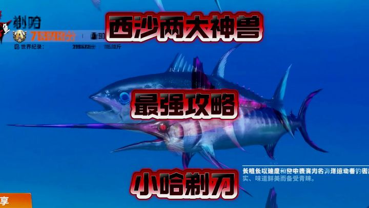 西沙群岛两大神兽,小哈,剃刀,最强攻略截图