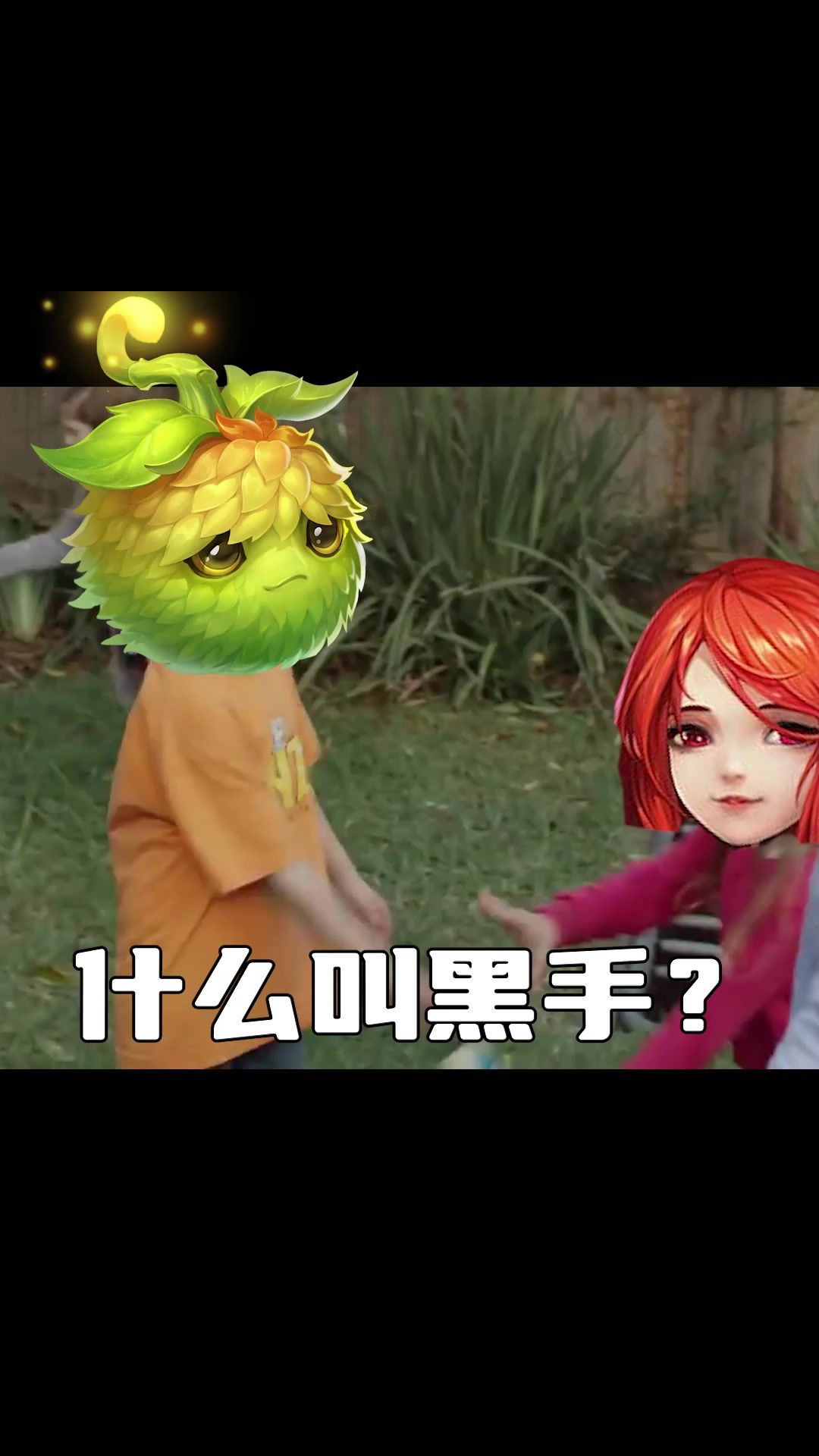 video-4074406