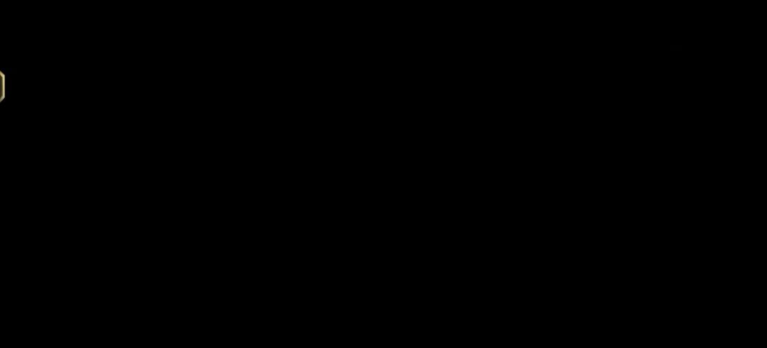 video-4077285