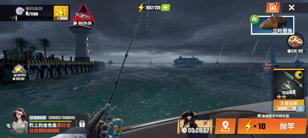 video-4080466