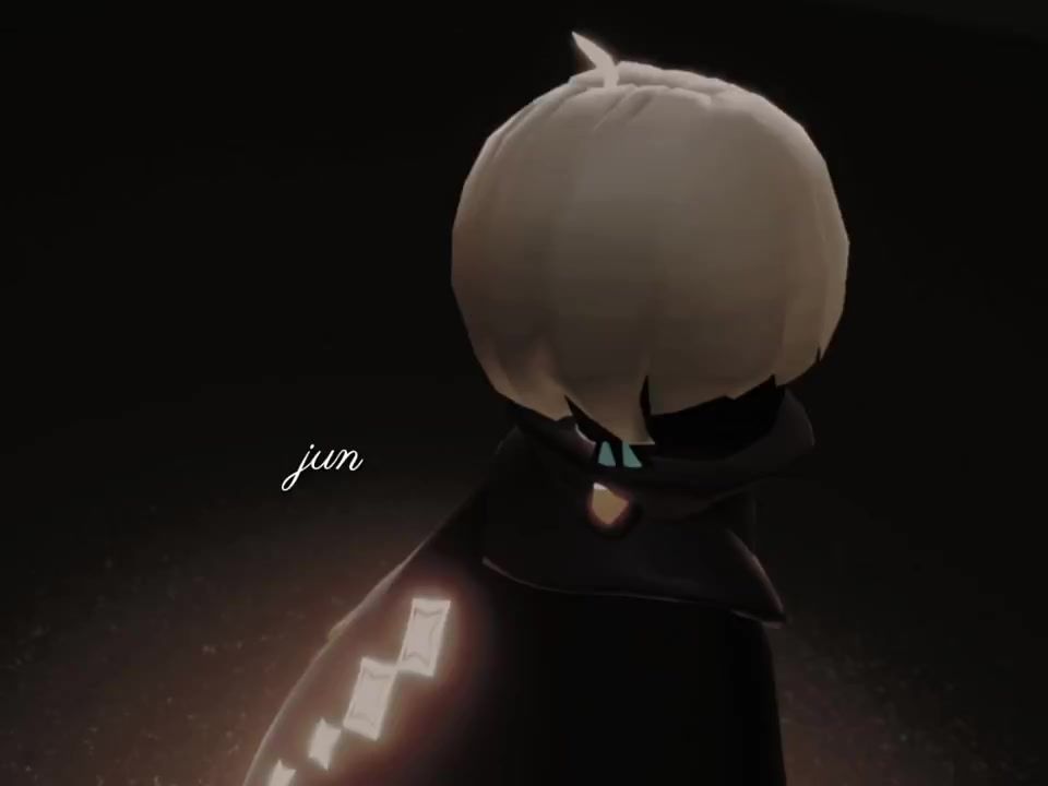 video-4081146