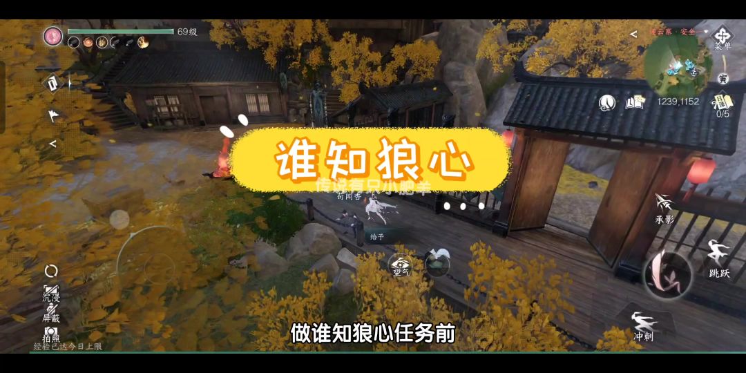 video-4081911