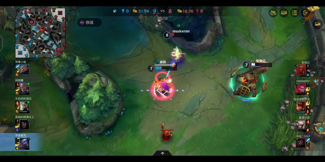video-4083131