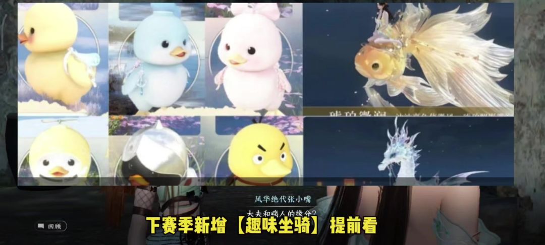 video-4083406