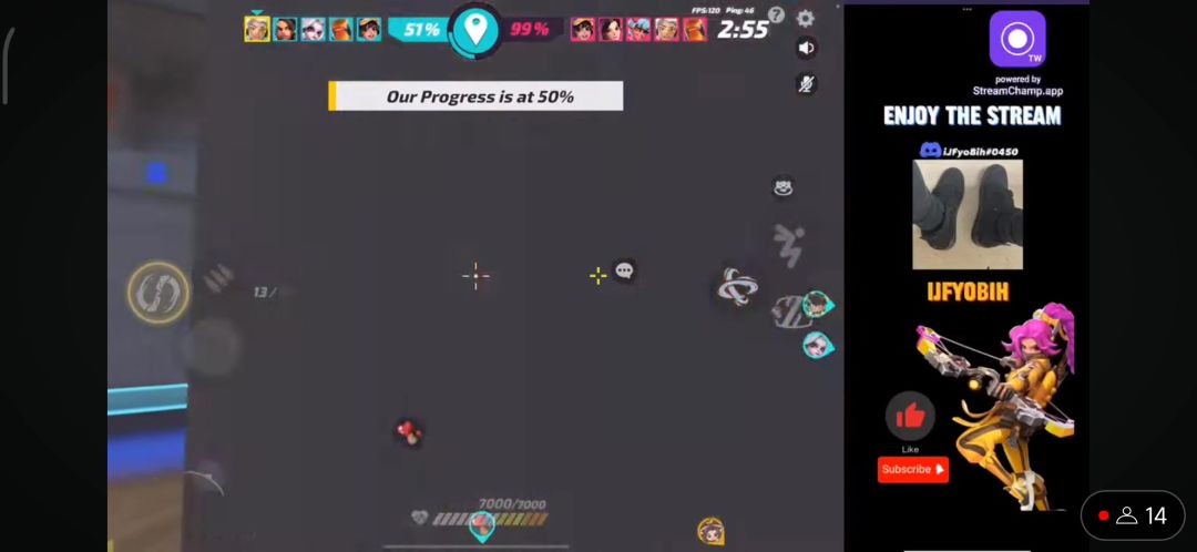 video-4085229
