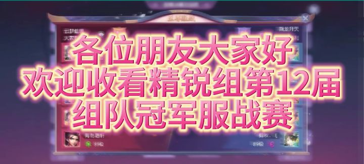 【服战解说】第十二届精锐组冠军赛截图