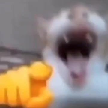 video-4158158
